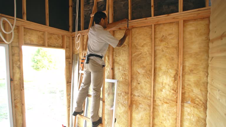 Best Attic Insulation Installation  in Mount Clemens, MI