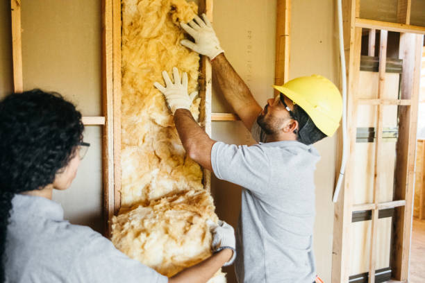 Best Eco-Friendly or Green Insulation Solutions  in Mount Clemens, MI